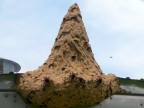 wasp nest.JPG (93 KB)